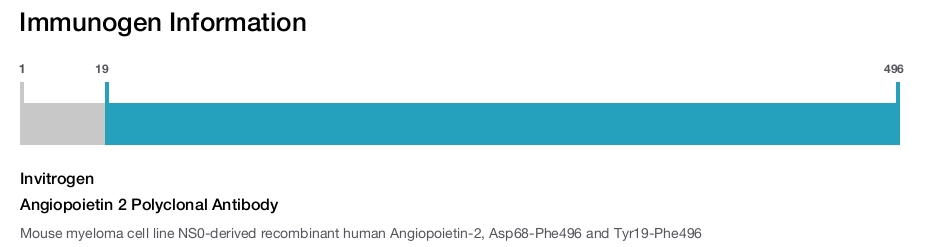 Angiopoietin 2 Polyclonal Antibody