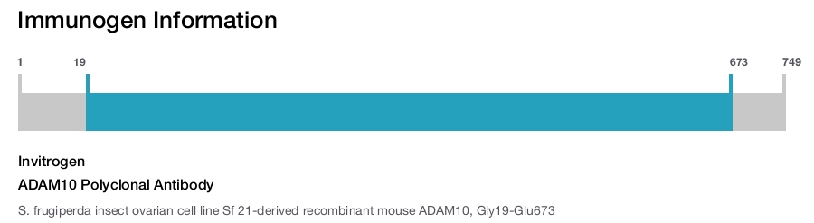 ADAM10 Polyclonal Antibody