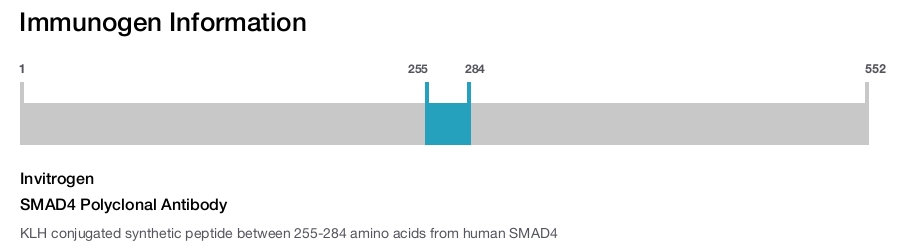 SMAD4 Polyclonal Antibody