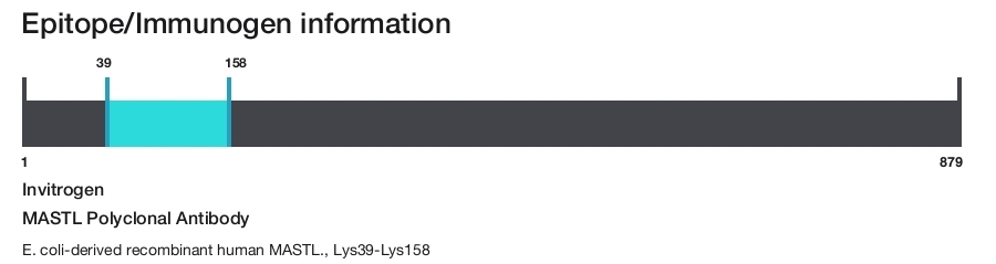 MASTL Polyclonal Antibody