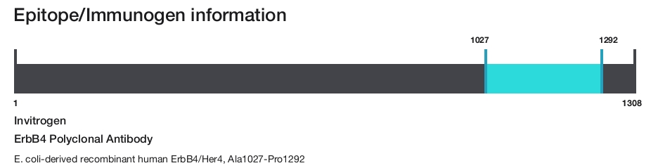 ErbB4 Polyclonal Antibody