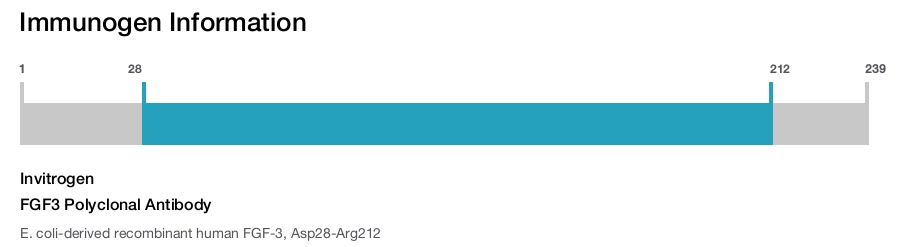 FGF3 Polyclonal Antibody