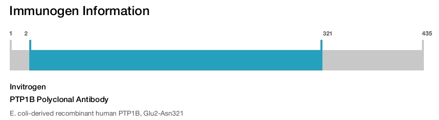 PTP1B Polyclonal Antibody