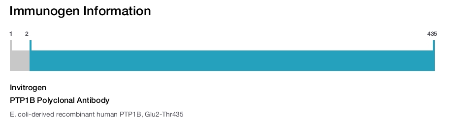 PTP1B Polyclonal Antibody