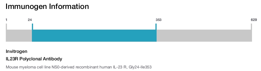 IL23R Polyclonal Antibody