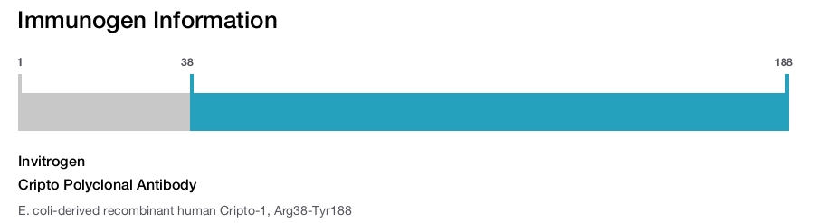 Cripto Polyclonal Antibody