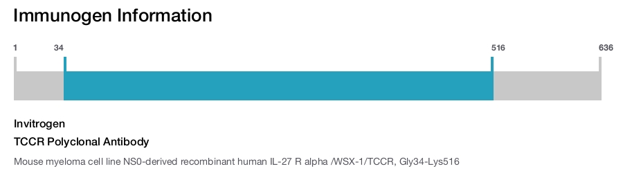 TCCR Polyclonal Antibody
