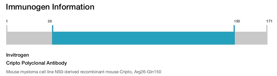 Cripto Polyclonal Antibody