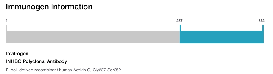 INHBC Polyclonal Antibody