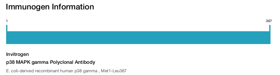 p38 MAPK gamma Polyclonal Antibody