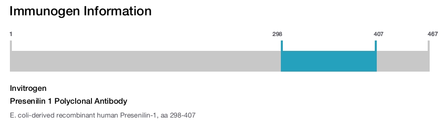 Presenilin 1 Polyclonal Antibody