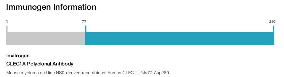 CLEC1A Polyclonal Antibody