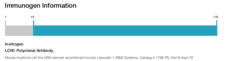 LCN1 Polyclonal Antibody