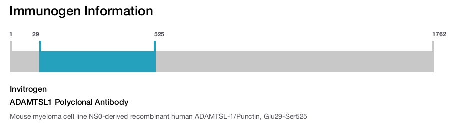 ADAMTSL1 Polyclonal Antibody