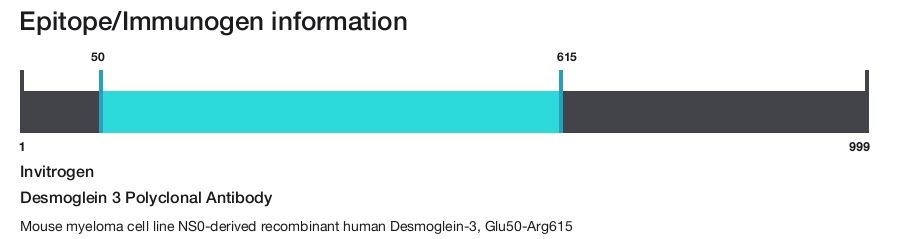 Desmoglein 3 Polyclonal Antibody