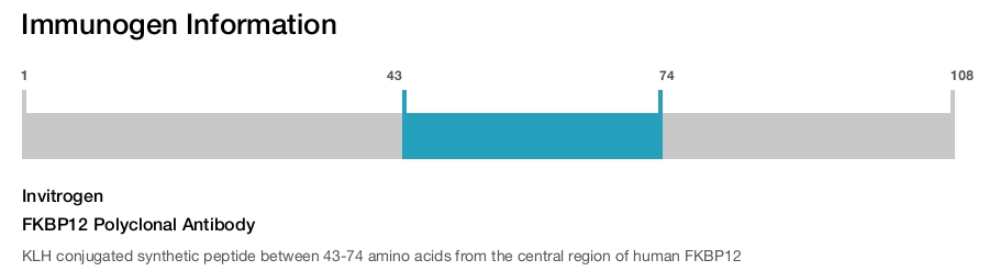 FKBP12 Polyclonal Antibody