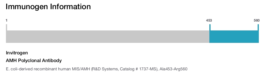 AMH Polyclonal Antibody
