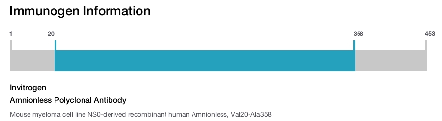 Amnionless Polyclonal Antibody