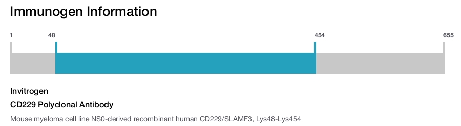 CD229 Polyclonal Antibody
