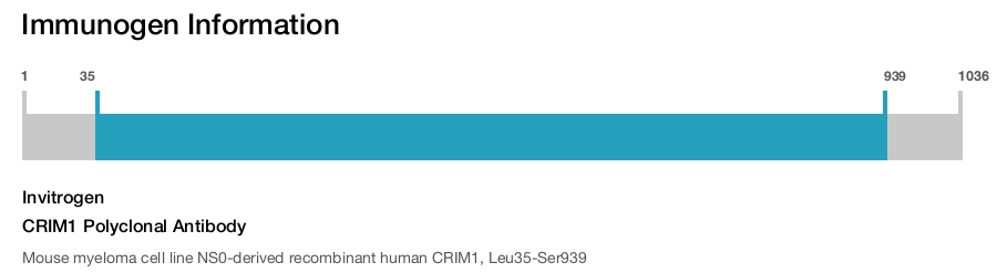 CRIM1 Polyclonal Antibody