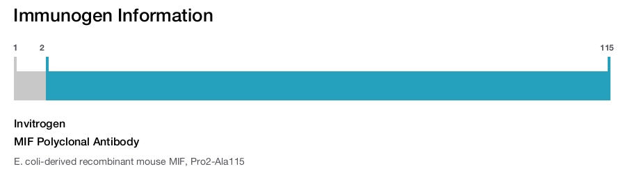 MIF Polyclonal Antibody