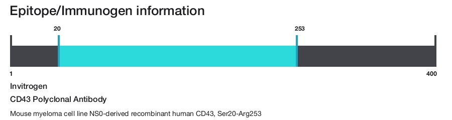 CD43 Polyclonal Antibody