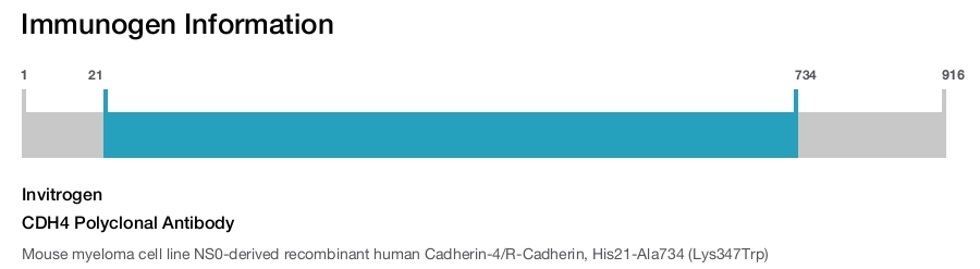 CDH4 Polyclonal Antibody