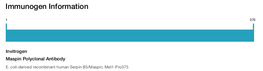 Maspin Polyclonal Antibody