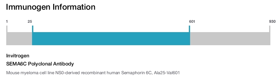 SEMA6C Polyclonal Antibody