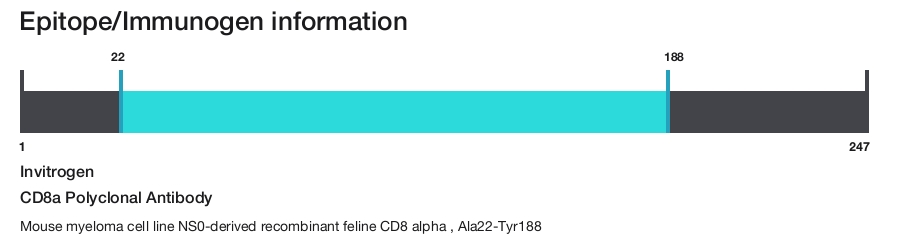 CD8a Polyclonal Antibody