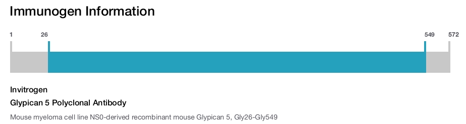 Glypican 5 Polyclonal Antibody