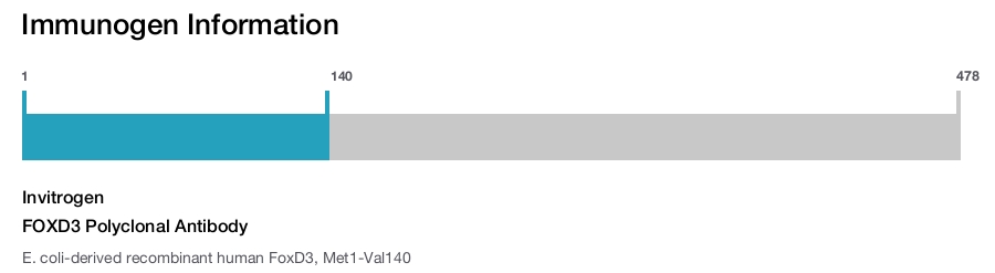 FOXD3 Polyclonal Antibody
