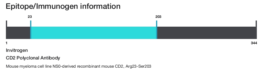 CD2 Polyclonal Antibody