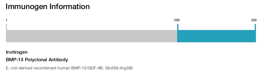 BMP-15 Polyclonal Antibody