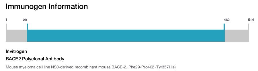 BACE2 Polyclonal Antibody