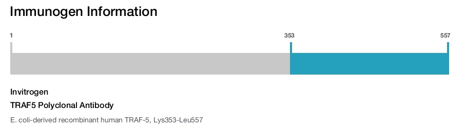 TRAF5 Polyclonal Antibody