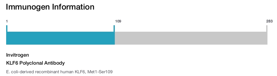 KLF6 Polyclonal Antibody