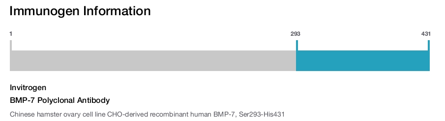 BMP-7 Polyclonal Antibody