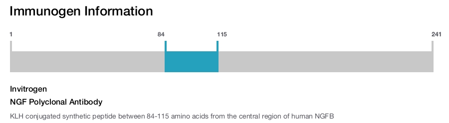 NGF Polyclonal Antibody