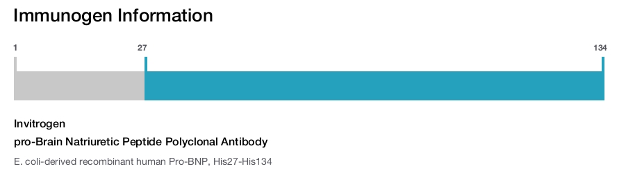 pro-Brain Natriuretic Peptide Polyclonal Antibody