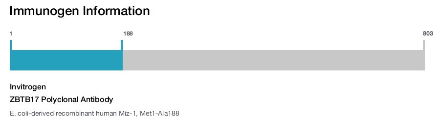 ZBTB17 Polyclonal Antibody