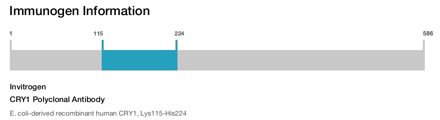 CRY1 Polyclonal Antibody