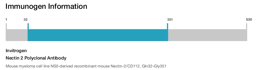 Nectin 2 Polyclonal Antibody