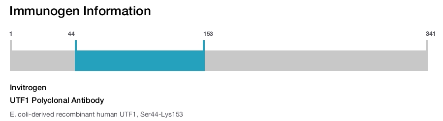UTF1 Polyclonal Antibody