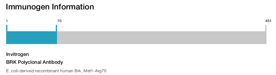 BRK Polyclonal Antibody