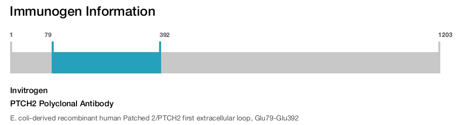 PTCH2 Polyclonal Antibody