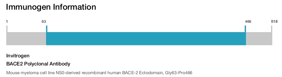 BACE2 Polyclonal Antibody