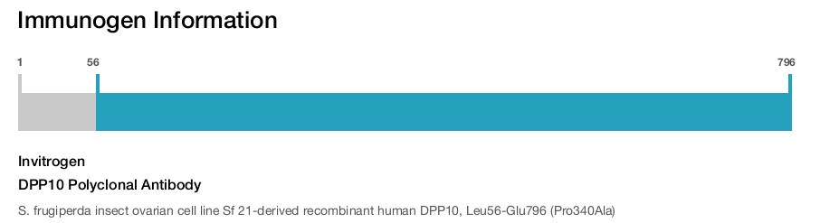 DPP10 Polyclonal Antibody