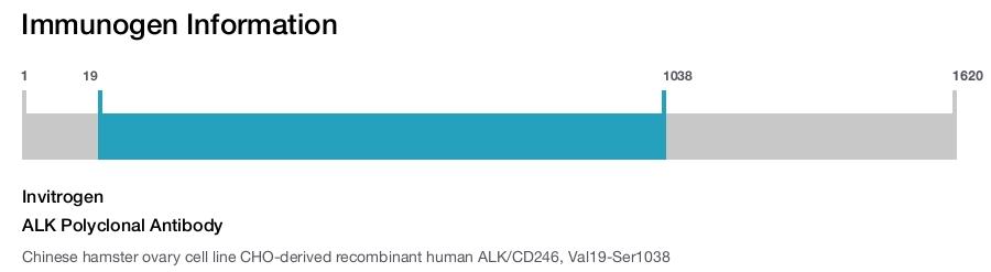 ALK Polyclonal Antibody