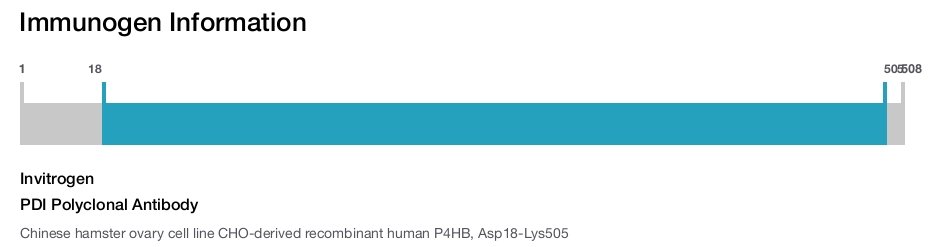 PDI Polyclonal Antibody